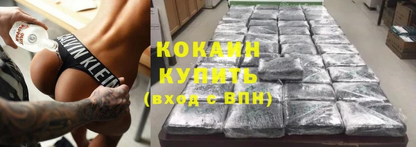 стаф Богданович