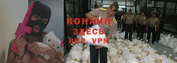прущая мука Няндома