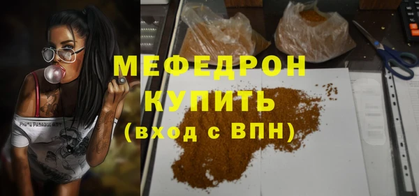 стаф Богданович