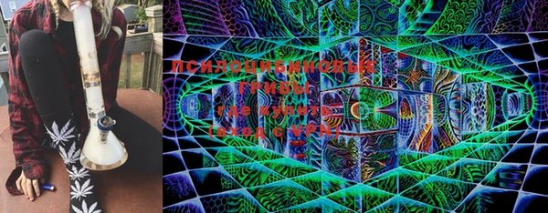 марки nbome Богородицк