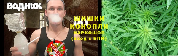 ПСИЛОЦИБИНОВЫЕ ГРИБЫ Балахна