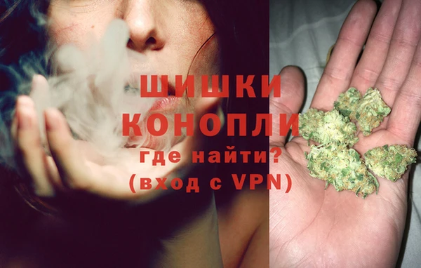 ПСИЛОЦИБИНОВЫЕ ГРИБЫ Балахна