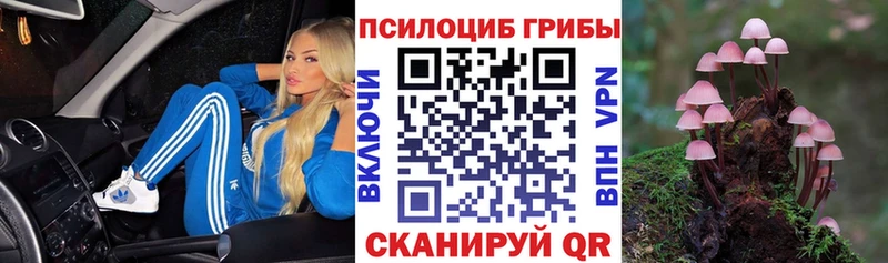 hydra   что такое   Кубинка  Псилоцибиновые грибы прущие грибы 